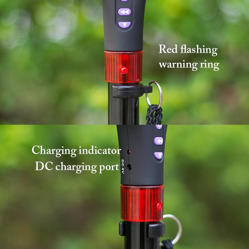 Nordic Walking Poles for Seniors | Stability and Comfort for Active Seniors
