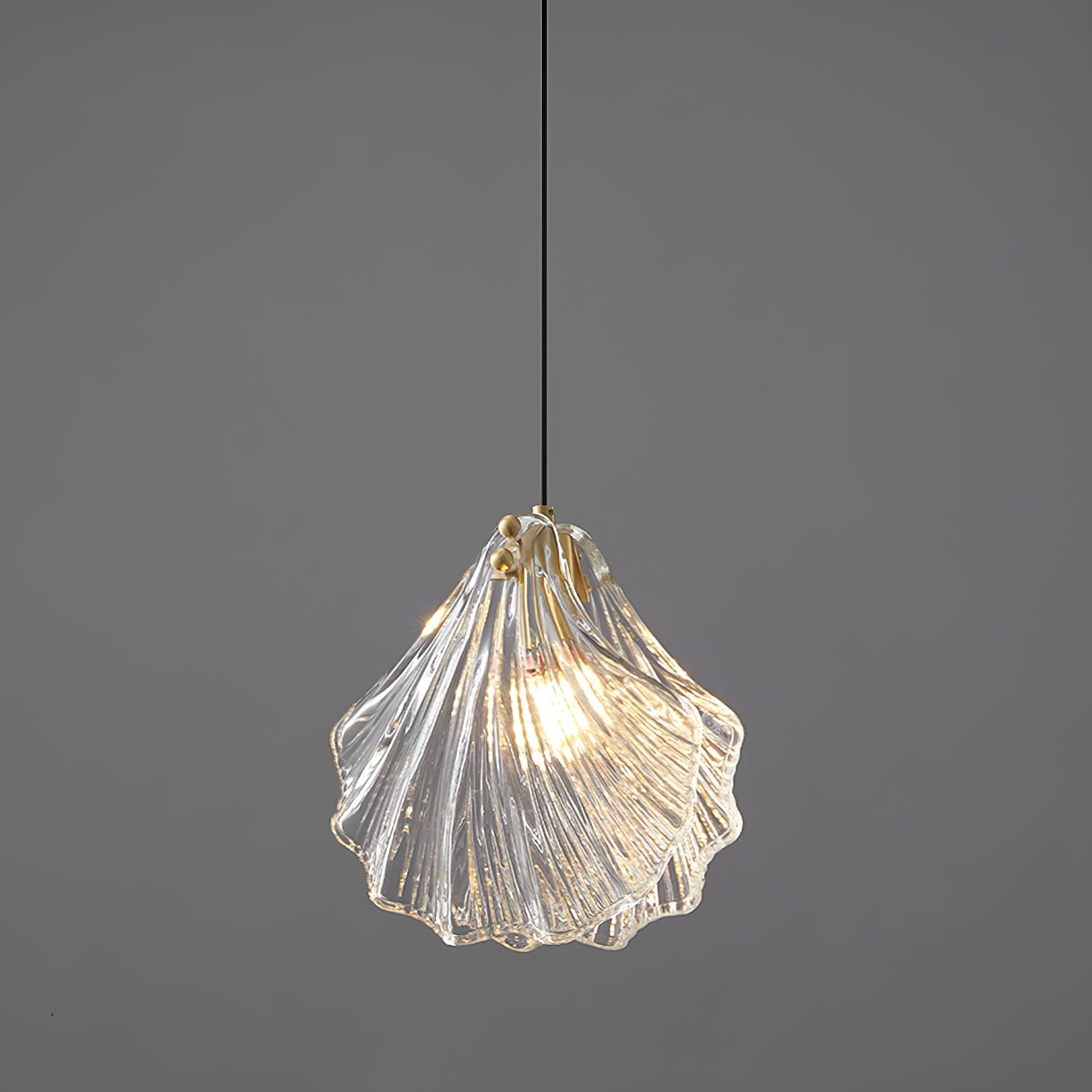 Stilfuld Kystnær Skallampe | CoastalShell