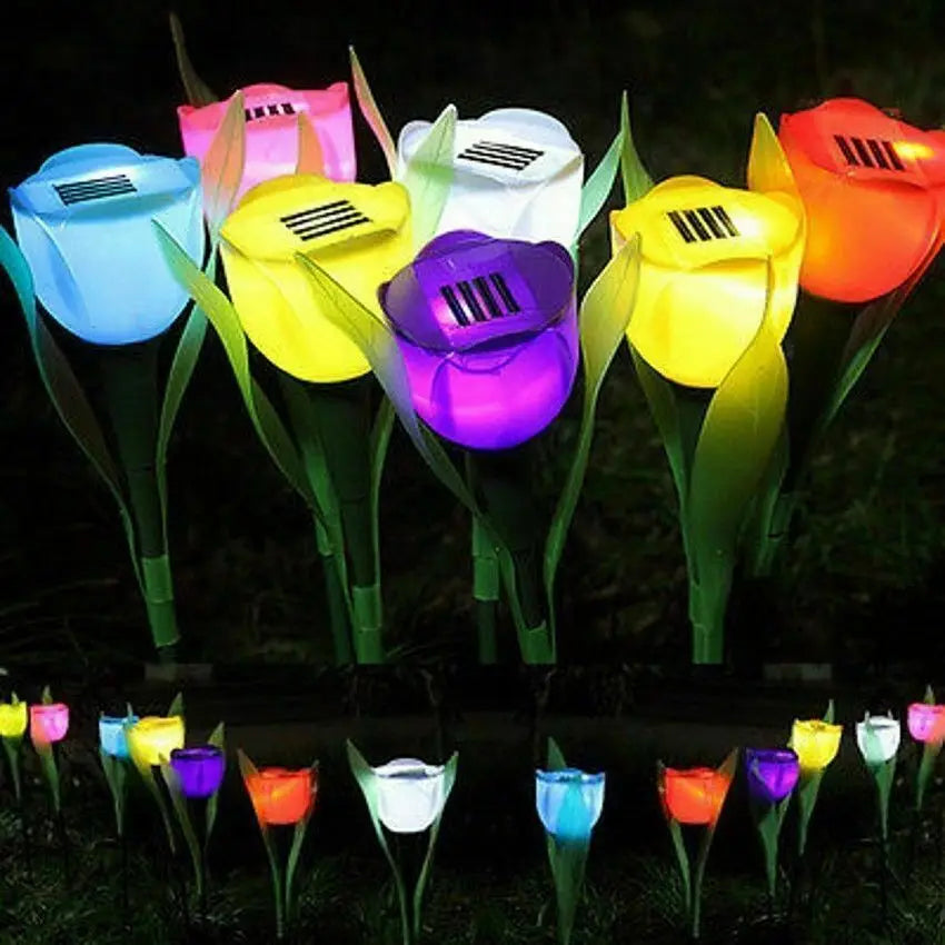 Levende Tulipanlampe | PetalSpark