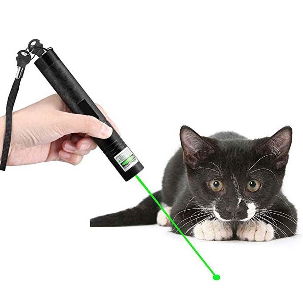 Højtydende Laserpointer 303 | PowerBeam